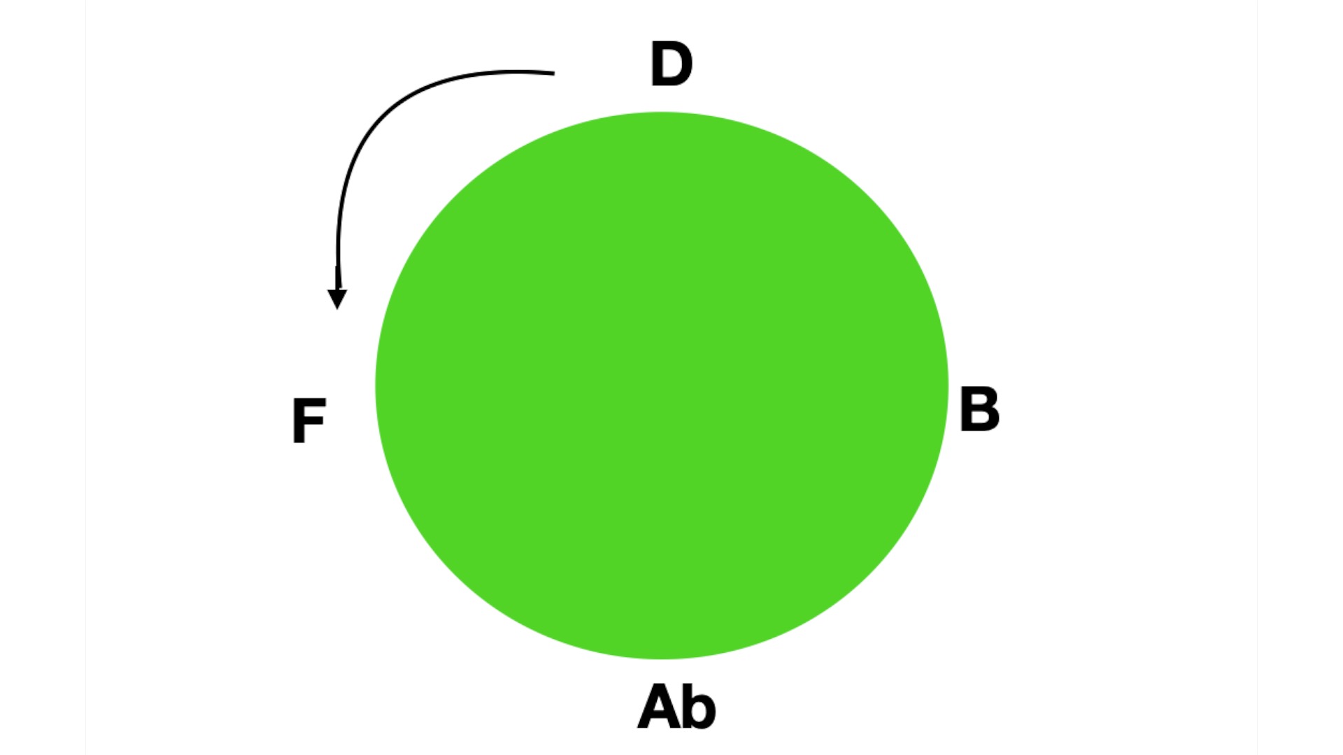 Bass Guitar Lessons with Joseph Patrick Moore