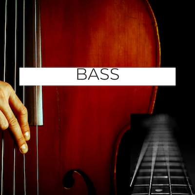 Bass Player Playlists